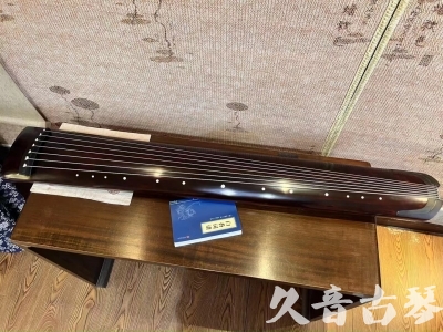 山南地区●久音古琴  ●今日推荐20230915  [顶级演奏正和]